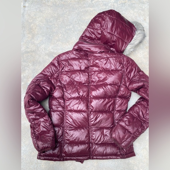 Winter Jacket - Picture 6 of 8